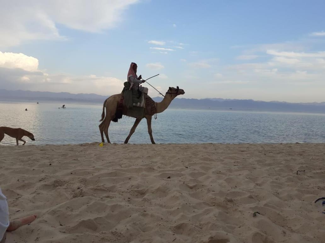 Hotel Yasmina Beach Taba Esterno foto